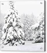 Winter Landscape Acrylic Print