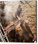 Woman Turning Compost Pile In Morning #1 Acrylic Print