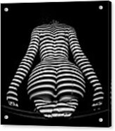 1249 Zebra Woman Stripe Series  1249 Acrylic Print