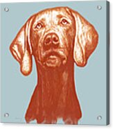 Dog Stylised Pop Modern Art Drawing Sketch Portrait #13 Acrylic Print