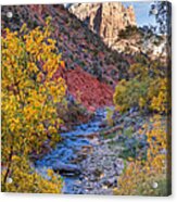 Zion National Park Utah #16 Acrylic Print