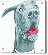 Dog Stylised Pop Modern Art Drawing Sketch Portrait #17 Acrylic Print