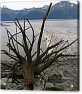 Feature - Bore Tide Surfing In Alaska #17 Acrylic Print