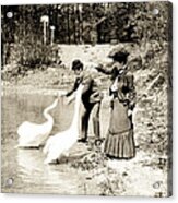 1890 Feeding Swans In Paris Acrylic Print