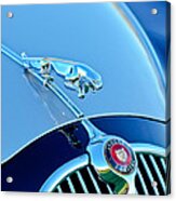 1960 Jaguar Mk Ii 2.4-liter Saloon Grille Emblem - Hood Ornament Acrylic Print