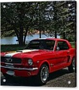 1966 Ford Mustang Acrylic Print