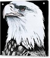 American Bald Eagle #2 Acrylic Print