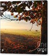 Autumn Tree #2 Acrylic Print