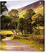 Celtic Spirit. Wicklow  Mountains. Ireland #1 Acrylic Print