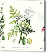 Common Poisonous Plants Acrylic Print