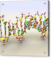 Dna Molecule #2 Acrylic Print