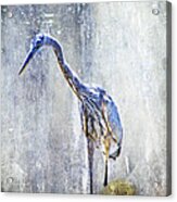 Great Blue Heron - Ardea Herodias Acrylic Print