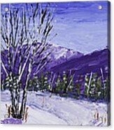 Painting Of White Birch Trees In Winter #3 Acrylic Print