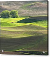 Palouse In Spring Color #2 Acrylic Print