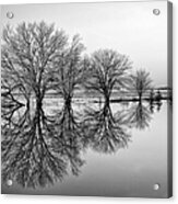 Reflection Acrylic Print