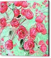 Pink Roses #4 Acrylic Print