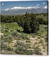 614p Schell Creek Range Nv Acrylic Print