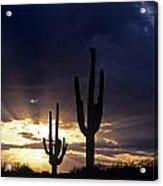 Silhouetted Saguaro Cactus Sunset At Dusk Arizona State Usa #2 Acrylic Print