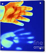Thermogram Of A Thermal Shadow #2 Acrylic Print
