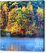 Walden Pond #2 Acrylic Print