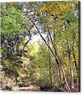 Walnut Creek #3 Acrylic Print