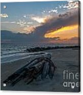 Washed Ashore Acrylic Print