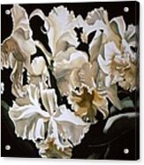 White Cattleya Orchids #1 Acrylic Print