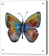 22 Clue Butterfly Acrylic Print