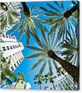Miami Beach Acrylic Print