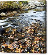 Autumn Along Cranberry River #3 Acrylic Print