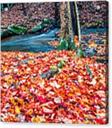 Chesterfield Gorge New Hampshire #3 Acrylic Print