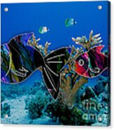 Coral Reef Painting #3 Acrylic Print
