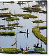 Fishing, Loktak Lake, Near Imphal #3 Acrylic Print