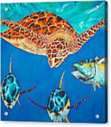 Green Sea Turtle #5 Acrylic Print