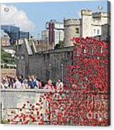 Remembrance Poppies At Tower Of London #3 Acrylic Print