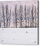 Rural Winter Landscape 2 Acrylic Print