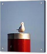 Seagull Perched On Red Column #3 Acrylic Print