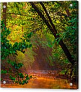 Sunbeam Stream #3 Acrylic Print