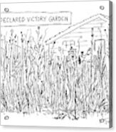 Declared Victory Garden Acrylic Print