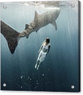 Woman Swimming With Whale Shark #3 Acrylic Print