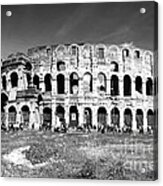 Colosseum #1 Acrylic Print