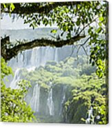 Iguazu Waterfall #4 Acrylic Print