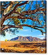 Wilpena Pound #13 Acrylic Print