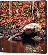 Autumn #5 Acrylic Print