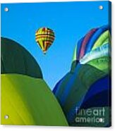 Balloon Fiesta, Socorro, New Mexico Acrylic Print