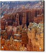 Bryce Canyon #5 Acrylic Print