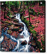 Chesterfield Gorge New Hampshire #5 Acrylic Print