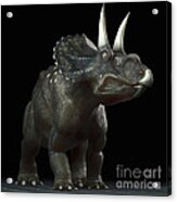 Dinosaur Diceratops #5 Acrylic Print