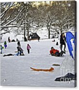 Snowboarding  In Central Park  2011 #5 Acrylic Print