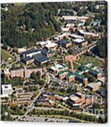 Western Carolina University Campus #15 Acrylic Print